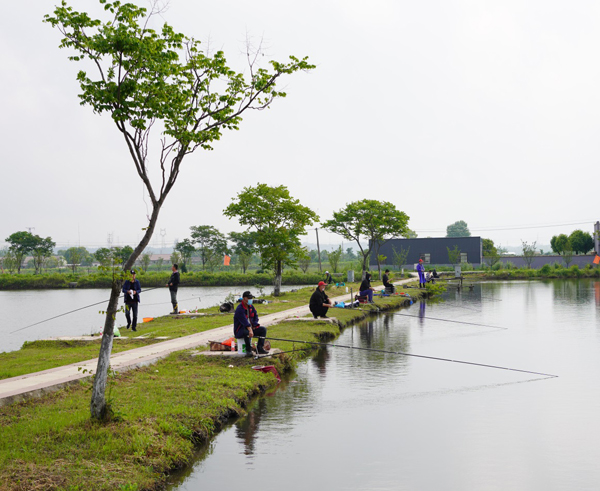 公司工會開展職工釣魚比賽